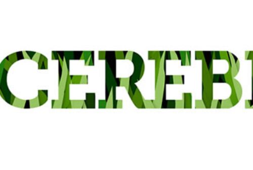 Ca logo