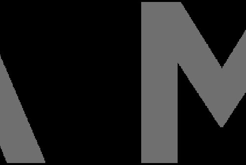 Dynamic EMS Logo 1