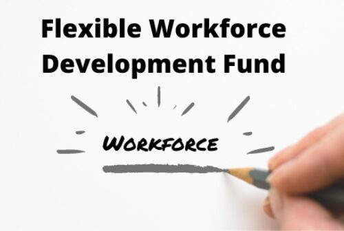 Flexible20 Workforce20 Development20 Fund202028129