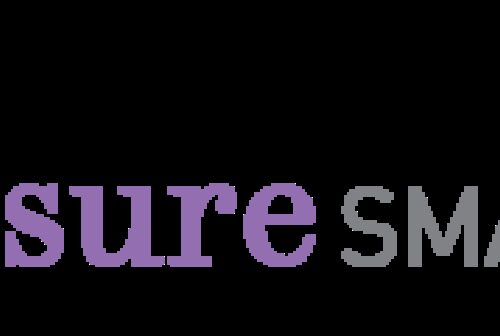 Insure20 Smart20 Logo202019
