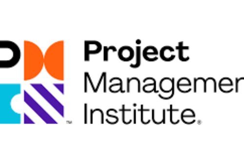 PMI20 Logo