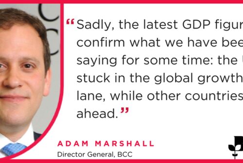 Adam20 Marshall203