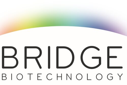 Bridge logo high quality
