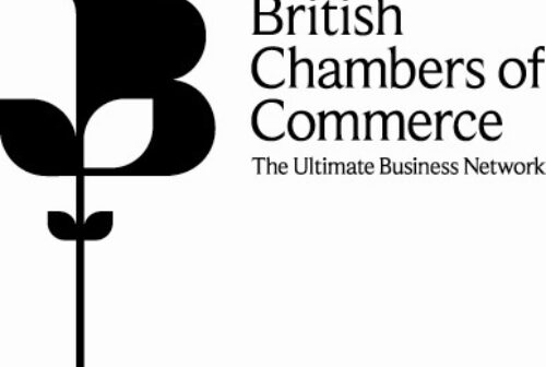 BCC LOGO STRAP B cropped