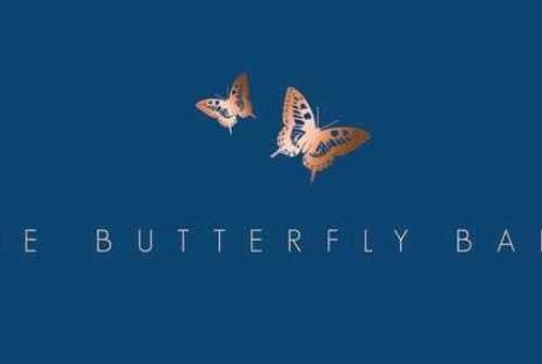 Butterfly20 Ball20 Logo