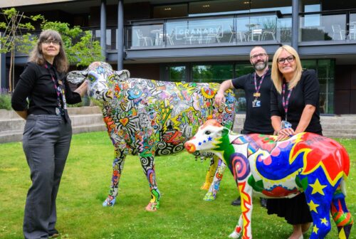Carnegie Cows at DCLG 4