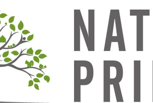 National20 Pride20 Logo20 Horizontal