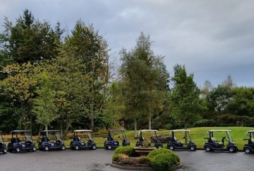 Buggies20120cropped