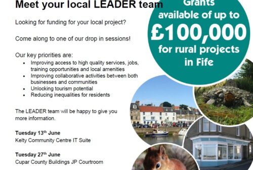 Fife leader