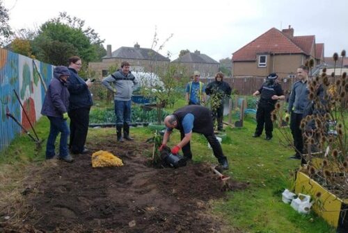 Tree20planting